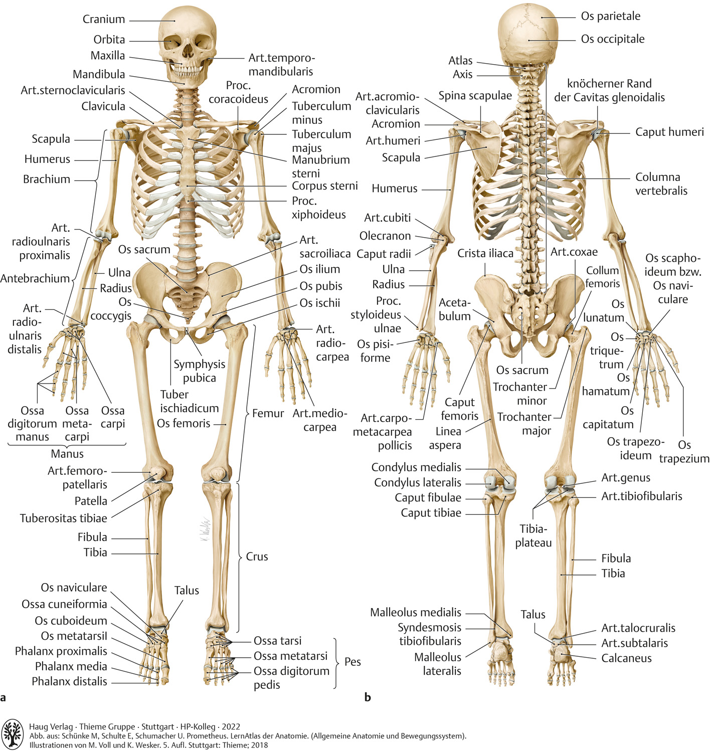 Pool and Billiards For Dummies main image 1